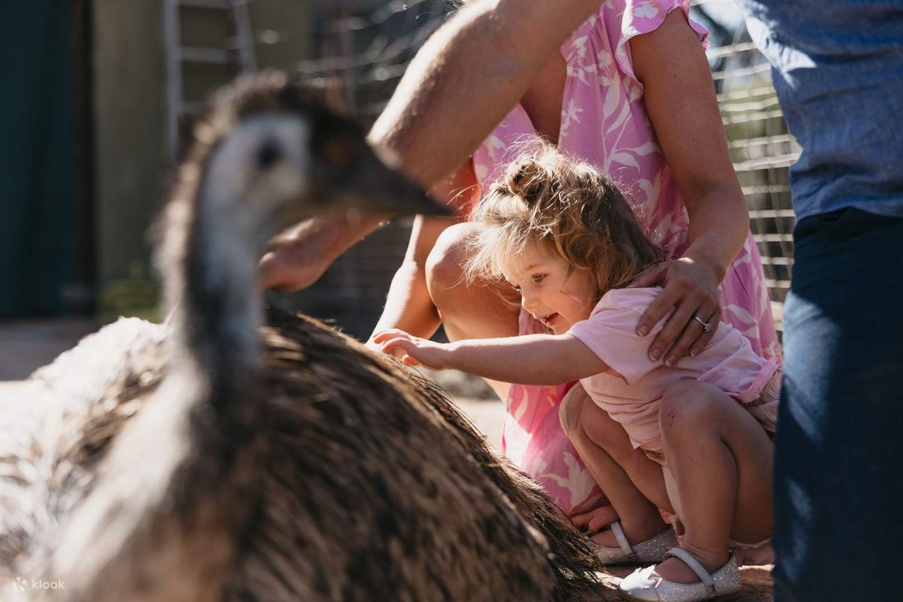 Wave Rock, York, Wildflowers & Aboriginal Culture Day Trip from Perth ...
