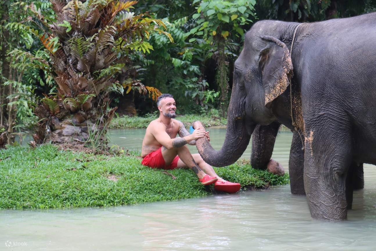 La experiencia del santuario de elefantes de Krabi