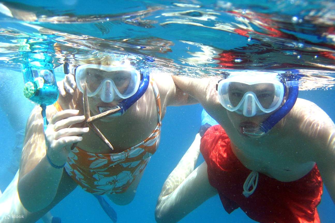 ไฮไลท์กาโบ