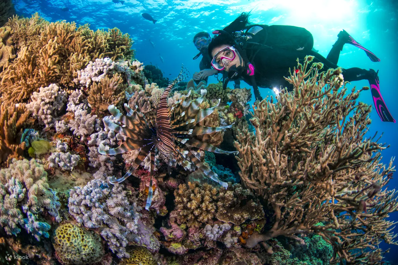 PADI 3 天高级开放水域水肺潜水课程