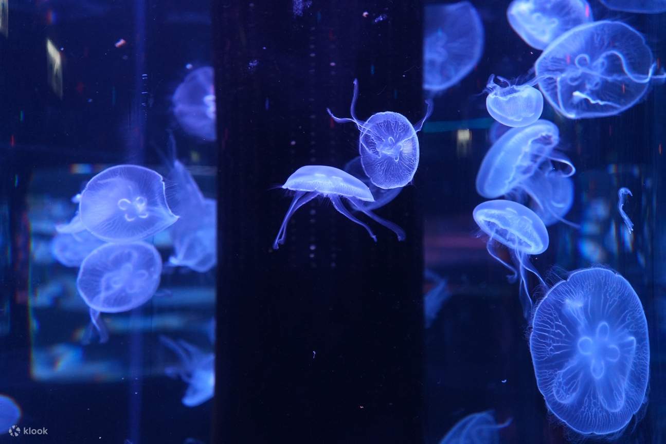 香港浩海立方探游馆