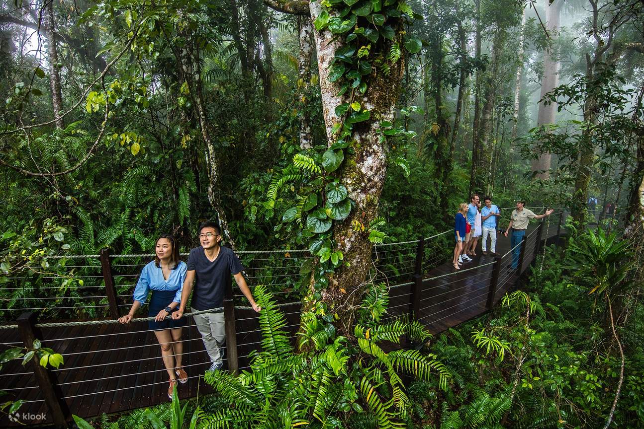 Skyrail Rainforest Cableway - Paseo Marítimo Misty Red Peak