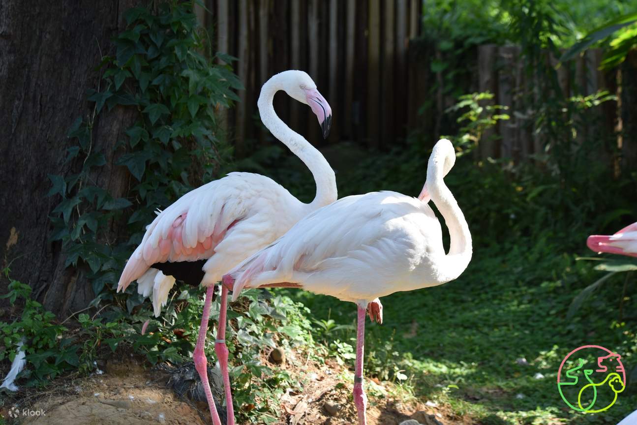 Zoológico Municipal de Hsinchu