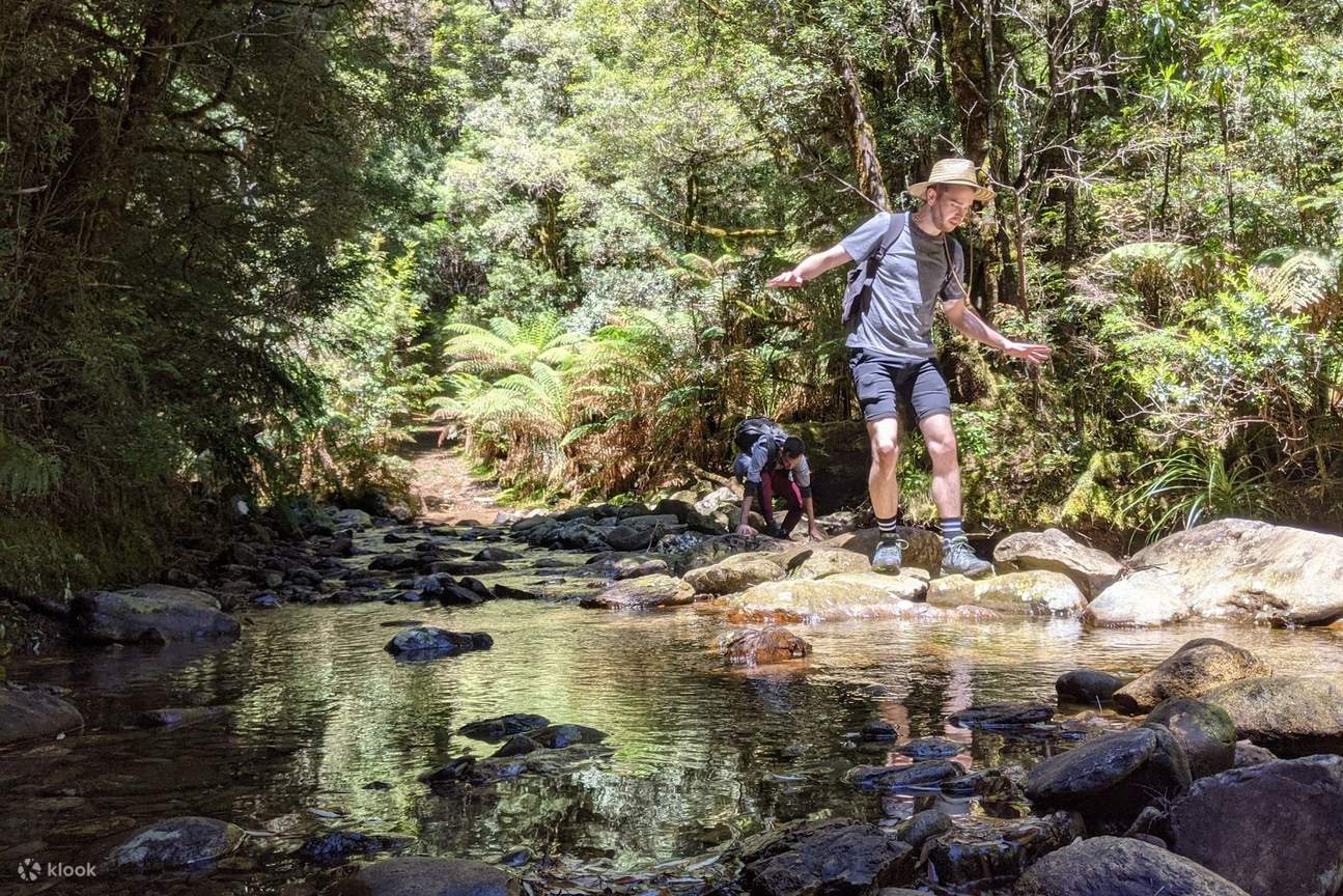 5D4N Tasmania Small Group Guided Tour from Hobart Klook Singapore