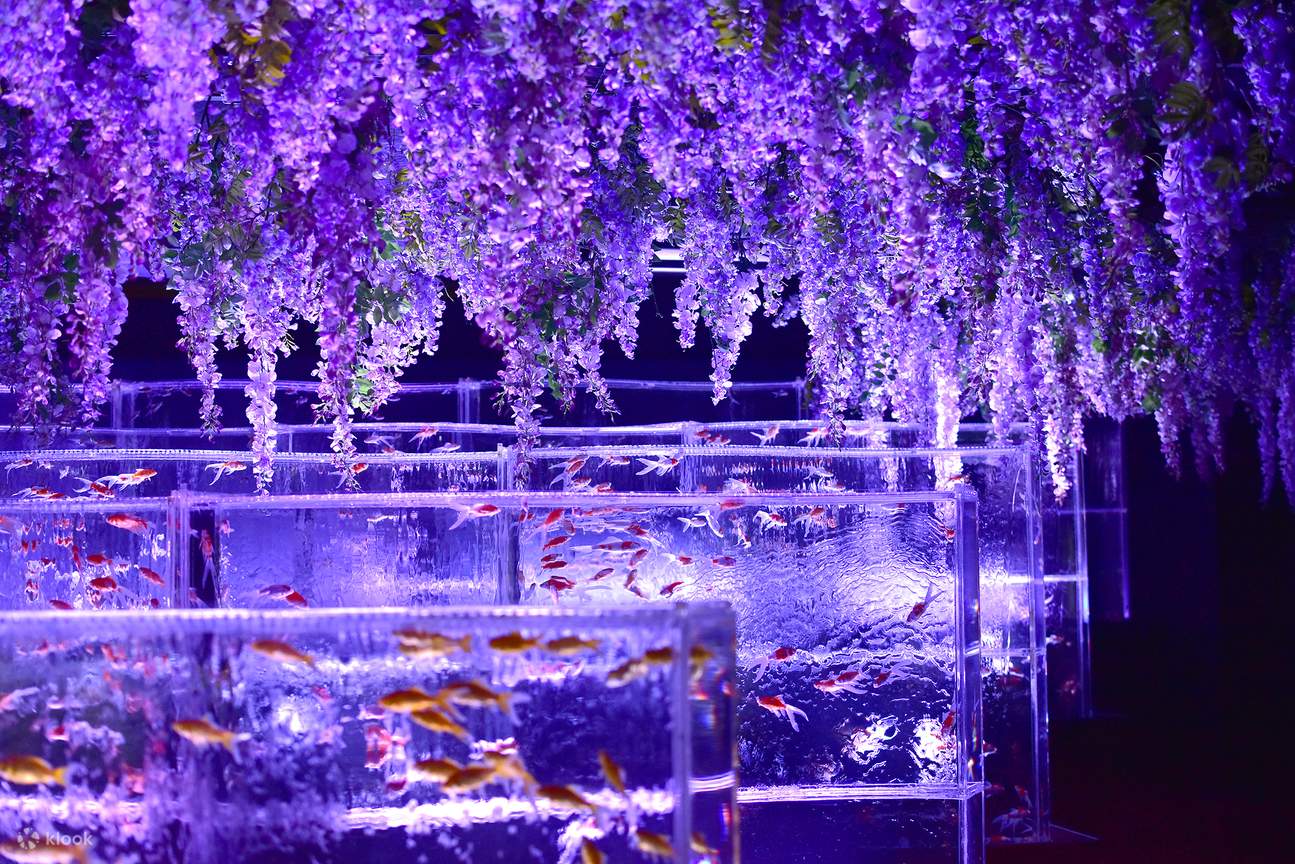 Fish Display Musuem Art Aquarium Museum GINZA Admission Ticket - Klook United States