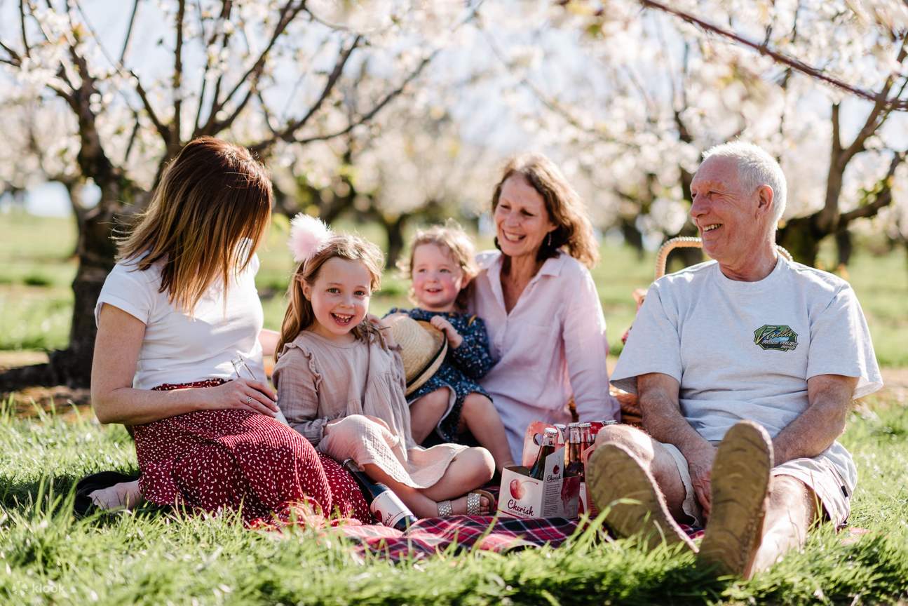 Cherry Blossom Festival at CherryHill Orchards