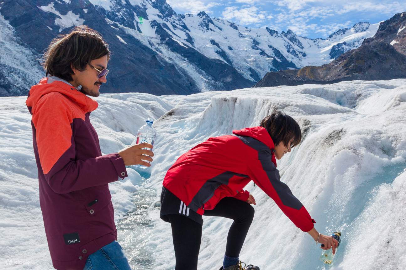 Randonnées guidées sur le glacier Tasman