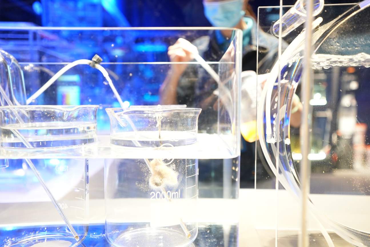 Hong Kong Ocean Park Explorer