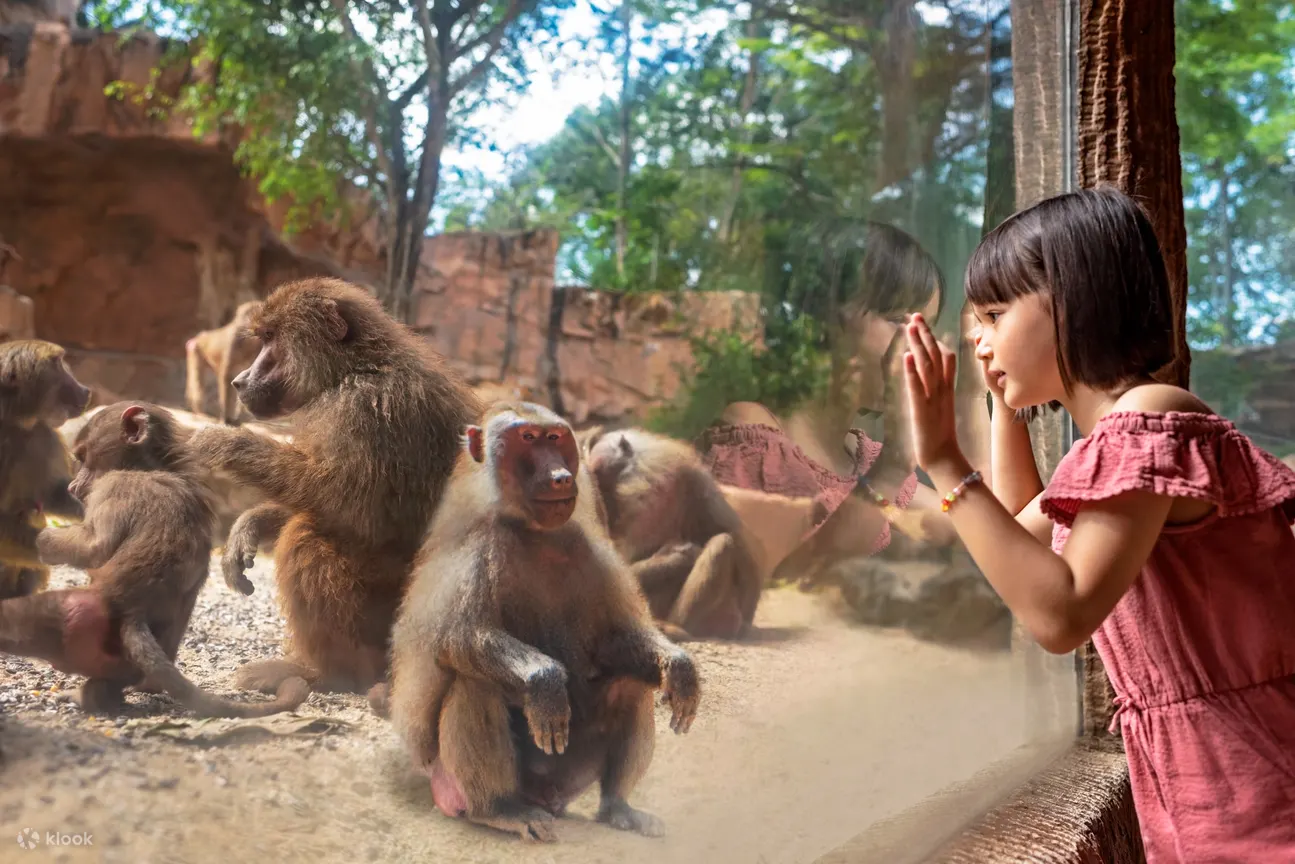新加坡動物園東非大裂谷