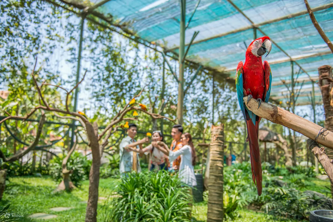 Vé VinWonders Nam Hội An
