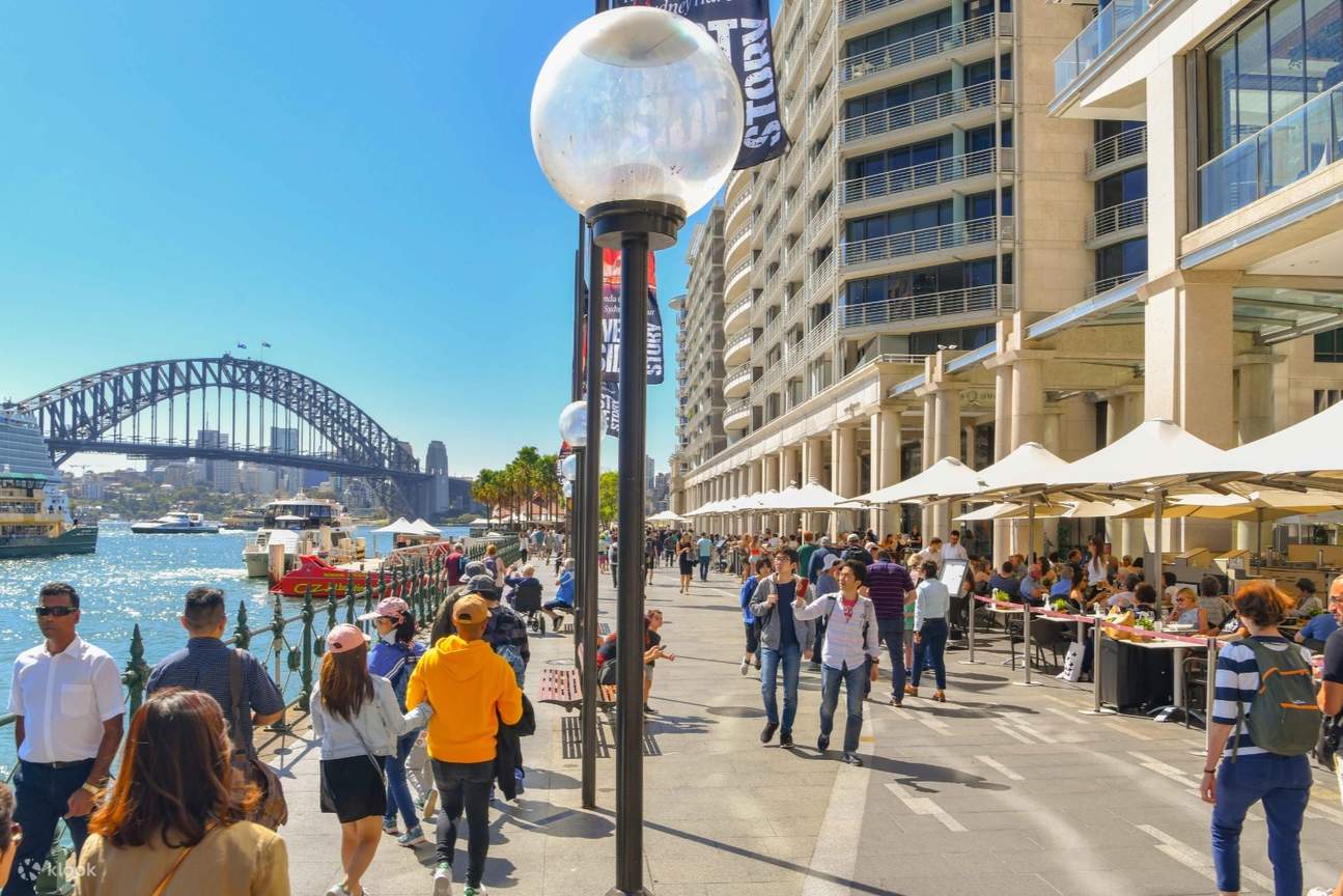 Trải nghiệm ẩm thực tại Searock Bar and Grill