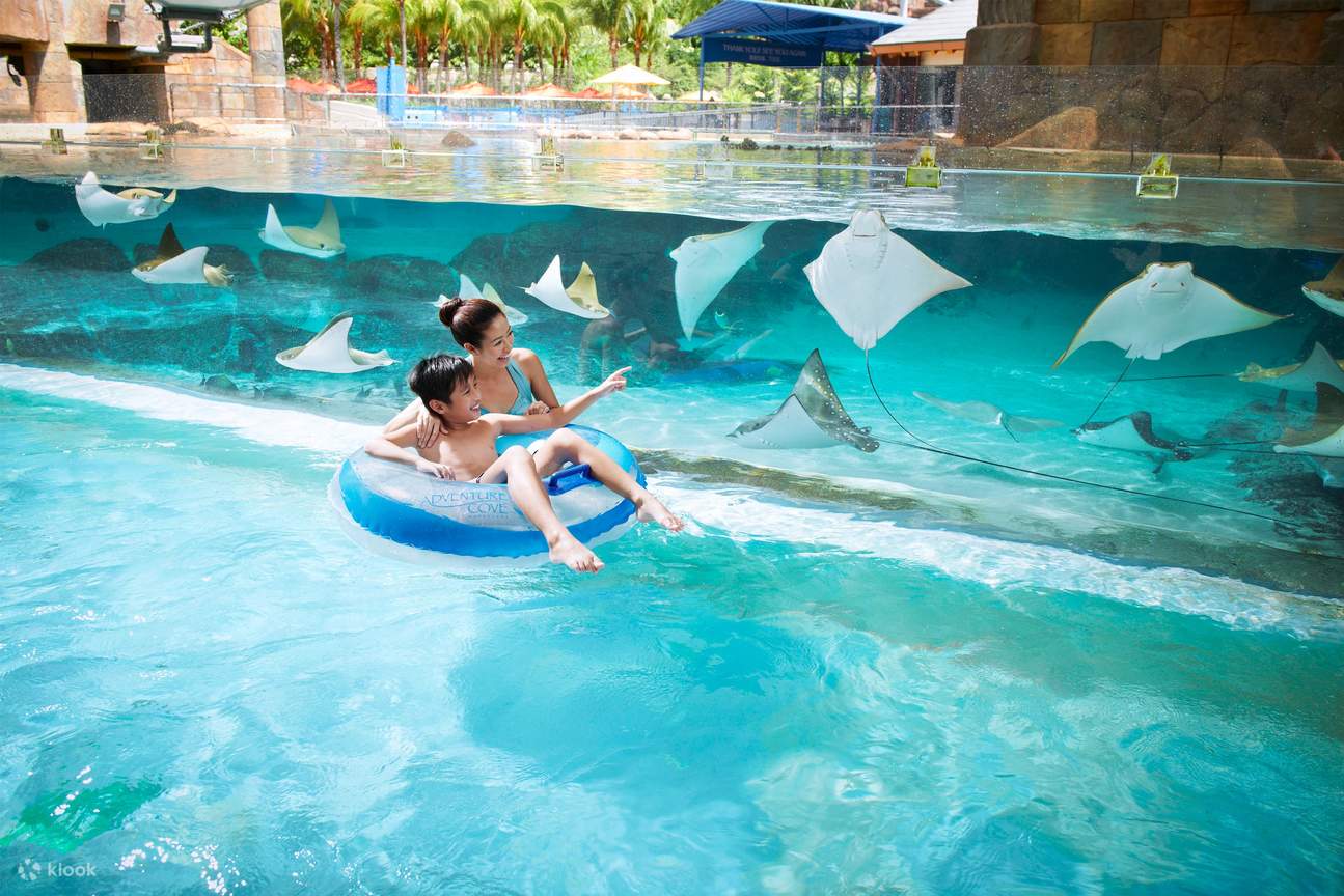 Adventure Cove Waterpark Ticket & Set Lunch at Hard Rock Café Sentosa