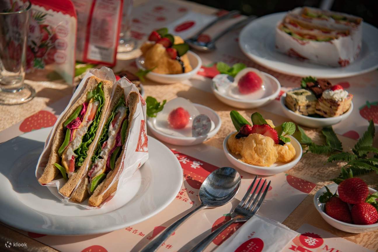 Recolección de fresas en la Granja Ecológica de Ocio Taiyi