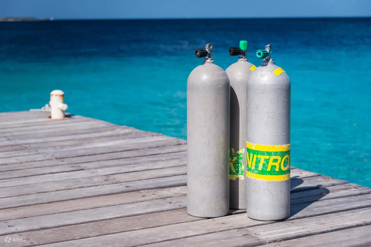 PADI Enriched Air Diver (Nitrox)