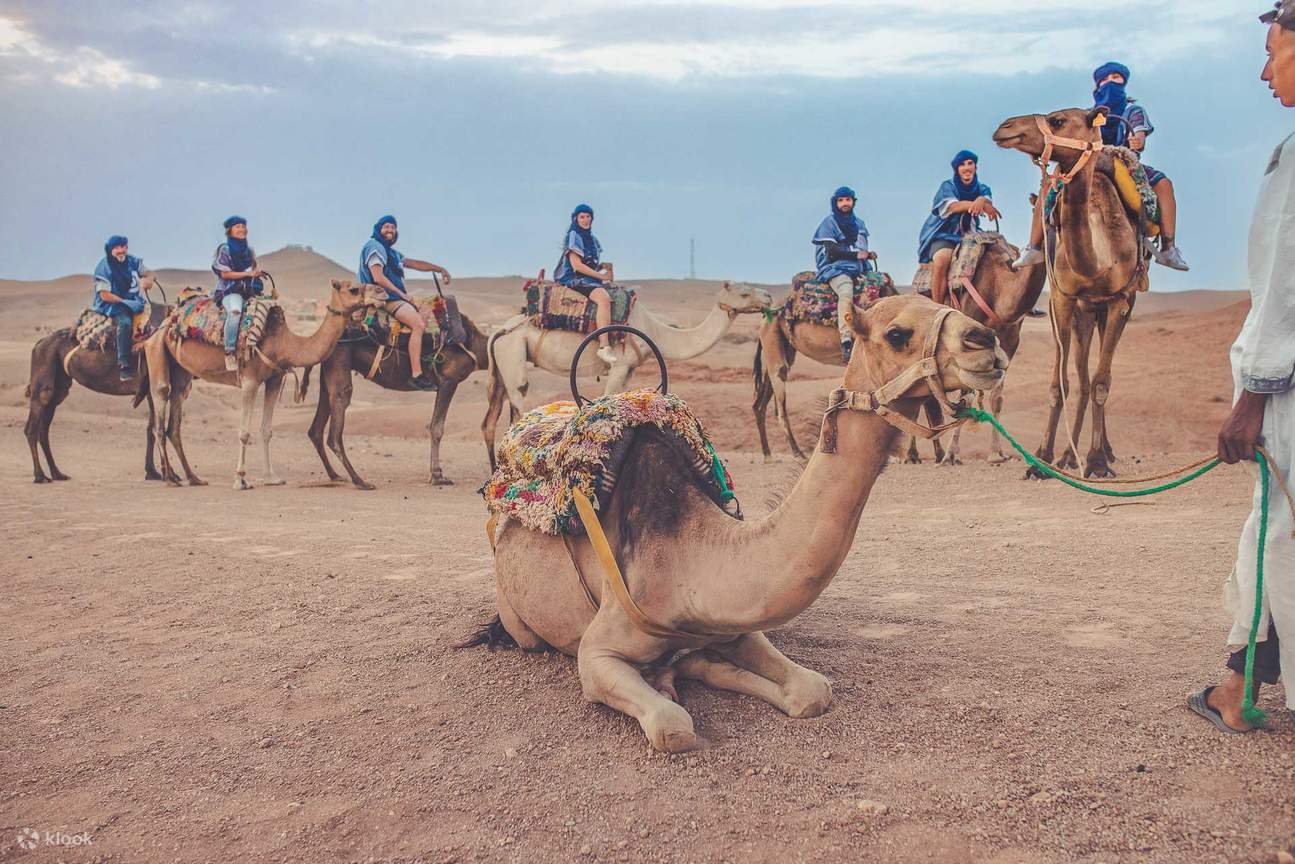 Elk Camel Ride Experience a Magical Camel Ride and Dinner Show in Agafay Desert ...