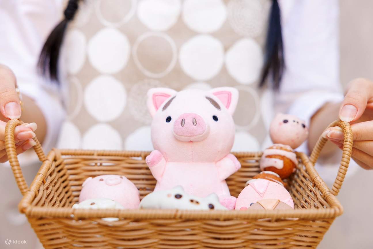 Private Room Micro Pig Cafe with Pig Treat Experience (Tokyo)