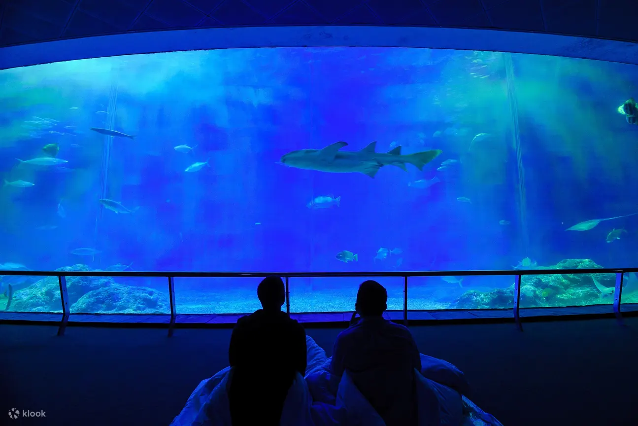 夜宿海生馆