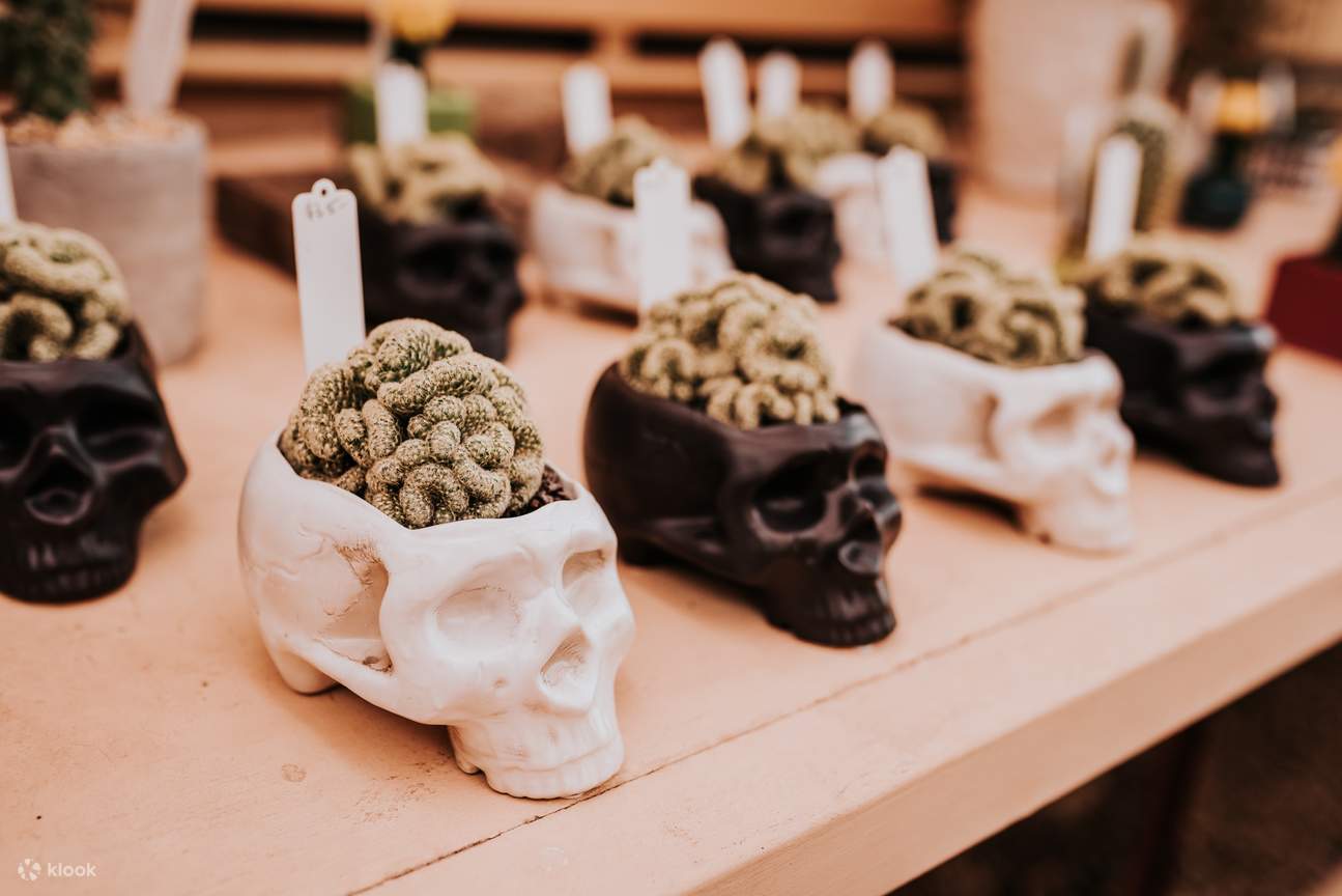 Un cactus che sembra un cervello in un vaso a forma di teschio