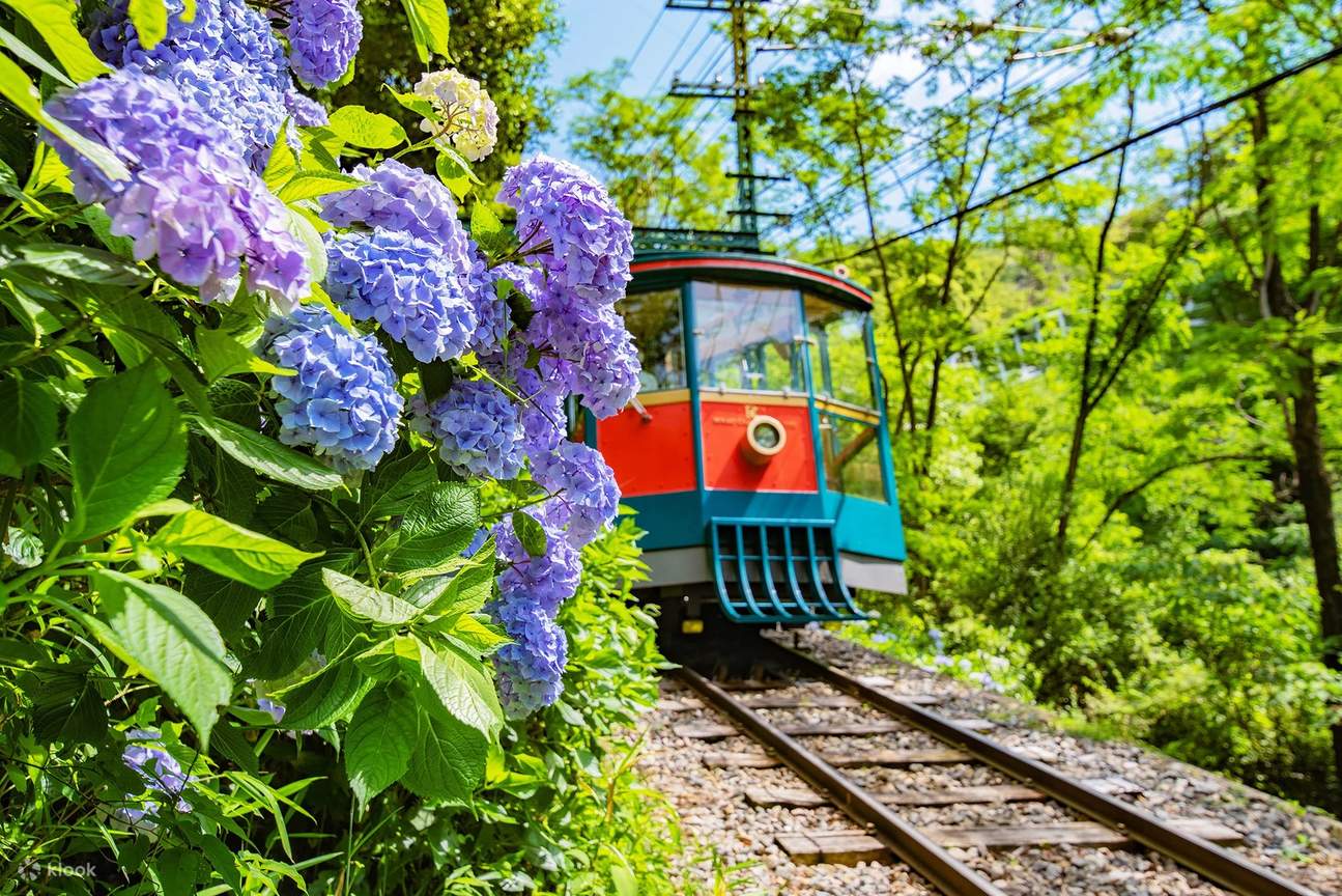 Hanshin 1-day Pass Set Gunung Rokko