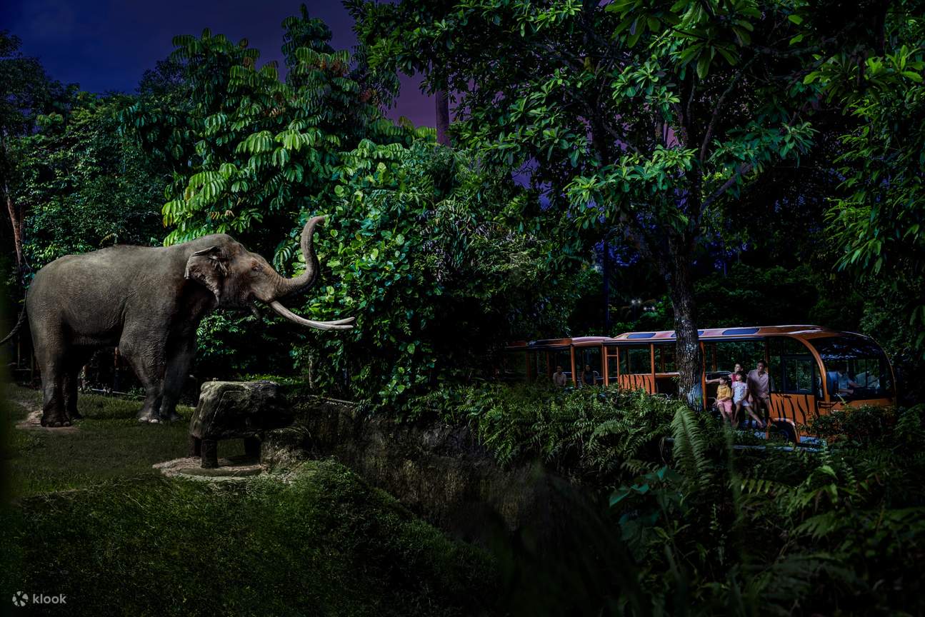  夜間野生動物園遊園車大象