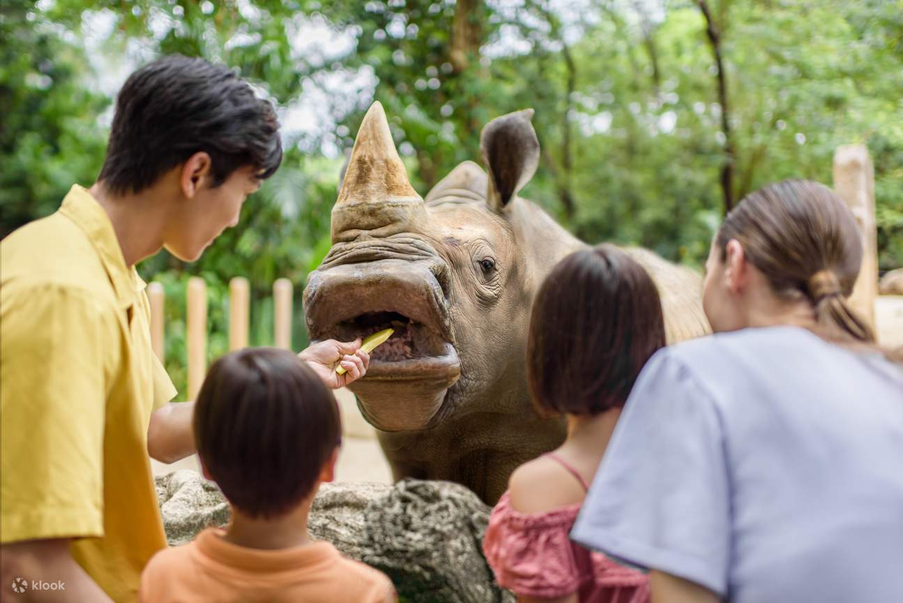 parents and children feeding rhino