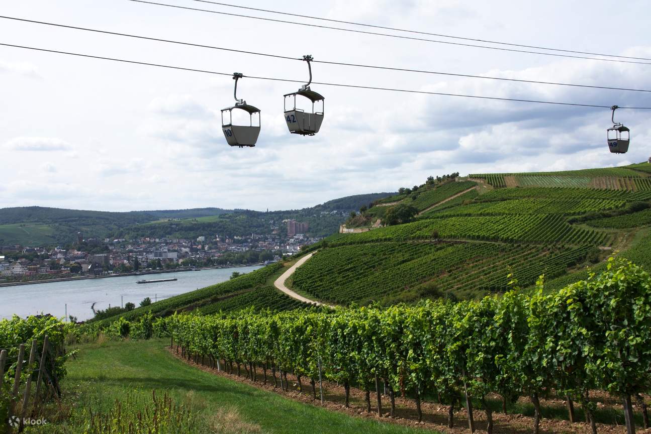 Aventura pe râul Rin: Excursie de o zi de la Frankfurt la Wiesbaden ...