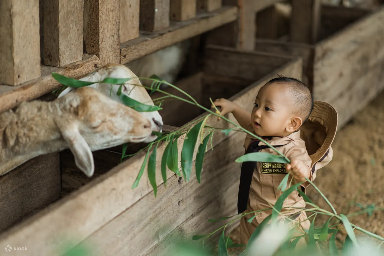 孩子与动物互动