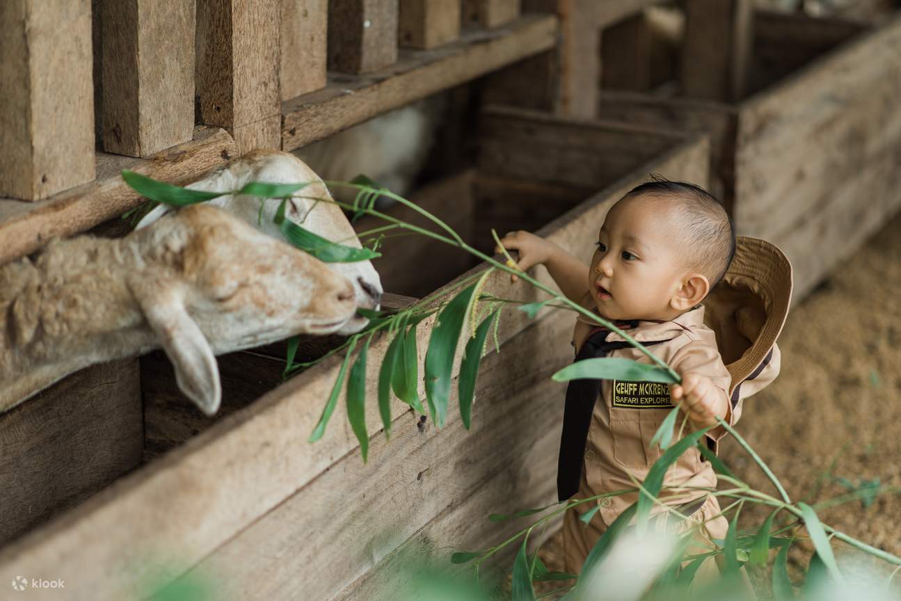 동물과 교감하는 아이