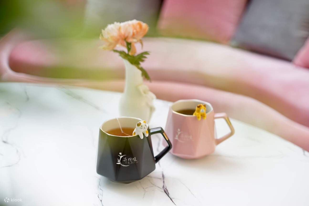 New Taipei: H卉妍植-Hui beaute spa Trung tâm quản lý da