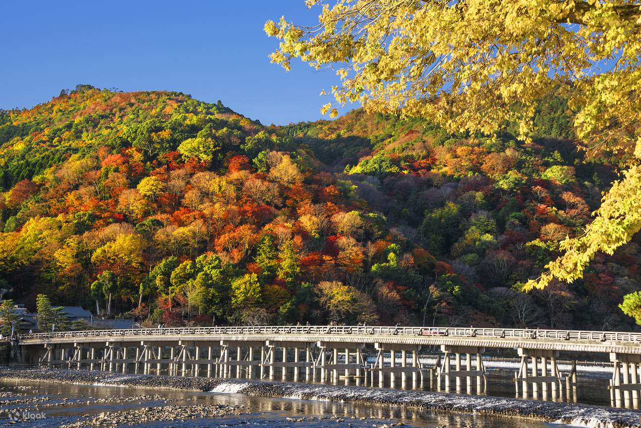 伏見稲荷大社・嵐山・清水寺 寺社巡りツアー(大阪発) | Klook