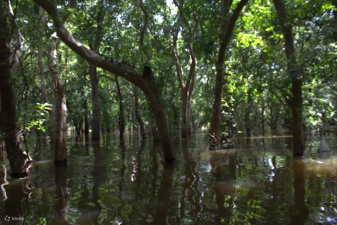 Exploring the Enchanting Kampong Phluk Floating Village Klook Estados Unidos