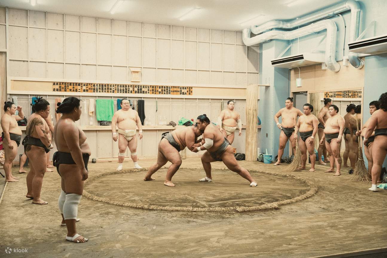 Tokyo Sumo Experience: Morning Practice/ Training with Sumo Wrestler ...
