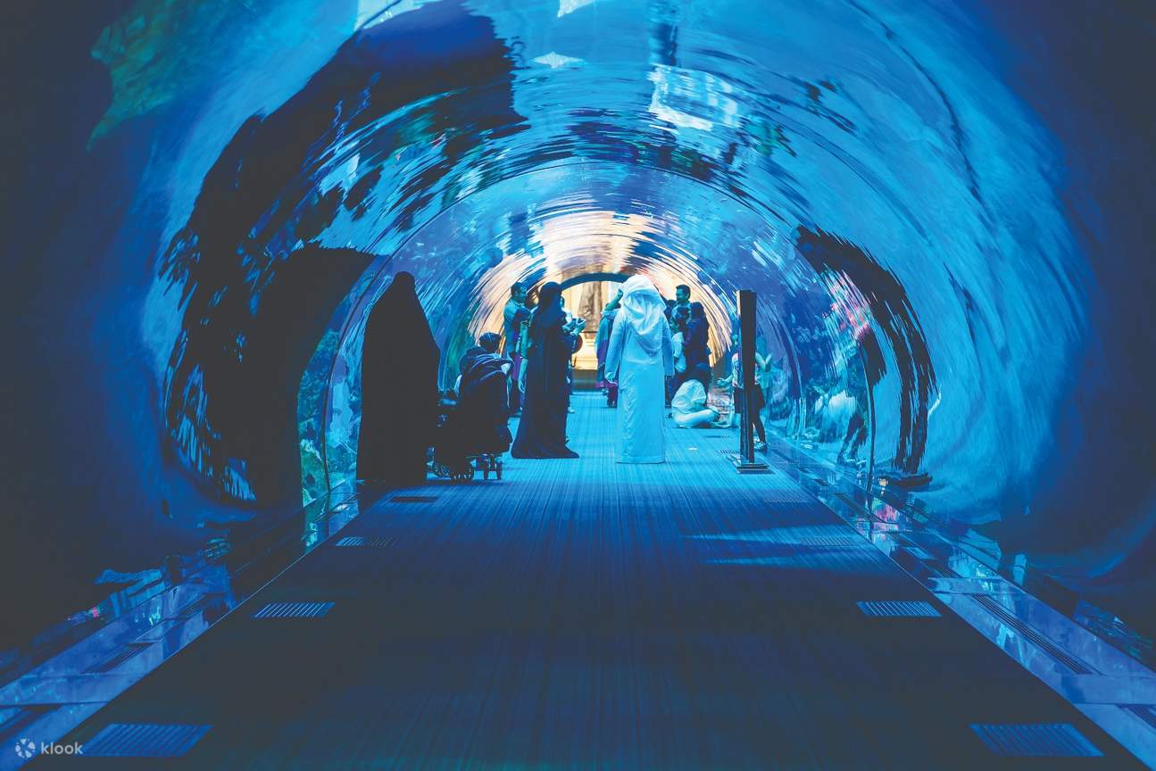 underwater tunnel at the dubai aquarium