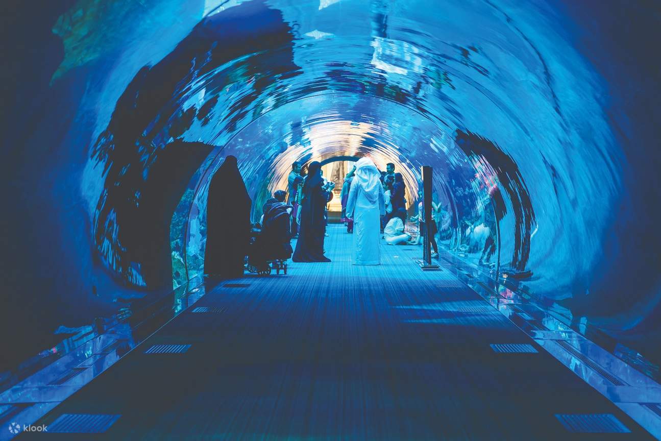 подводный туннель в Dubai Aquarium