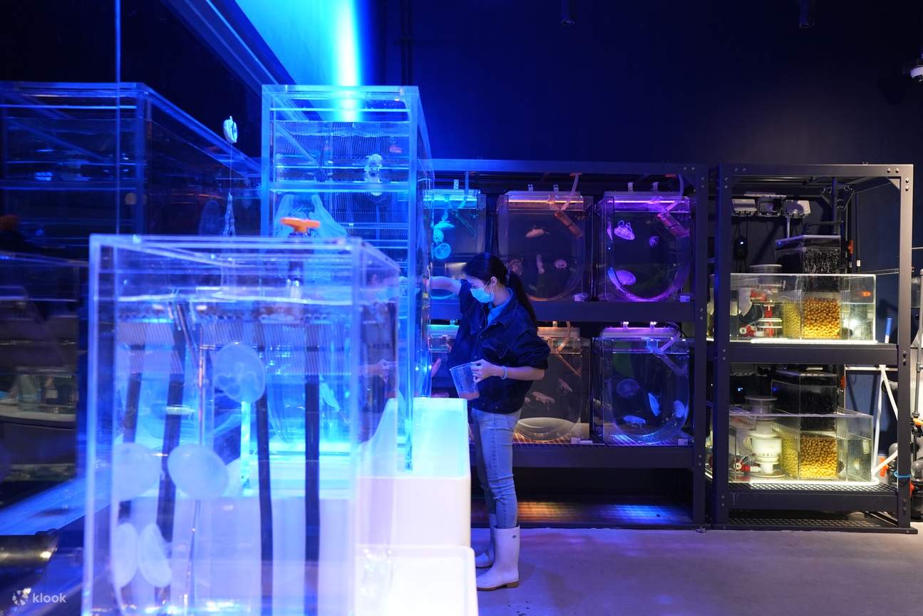 Hong Kong Ocean Park Explorer