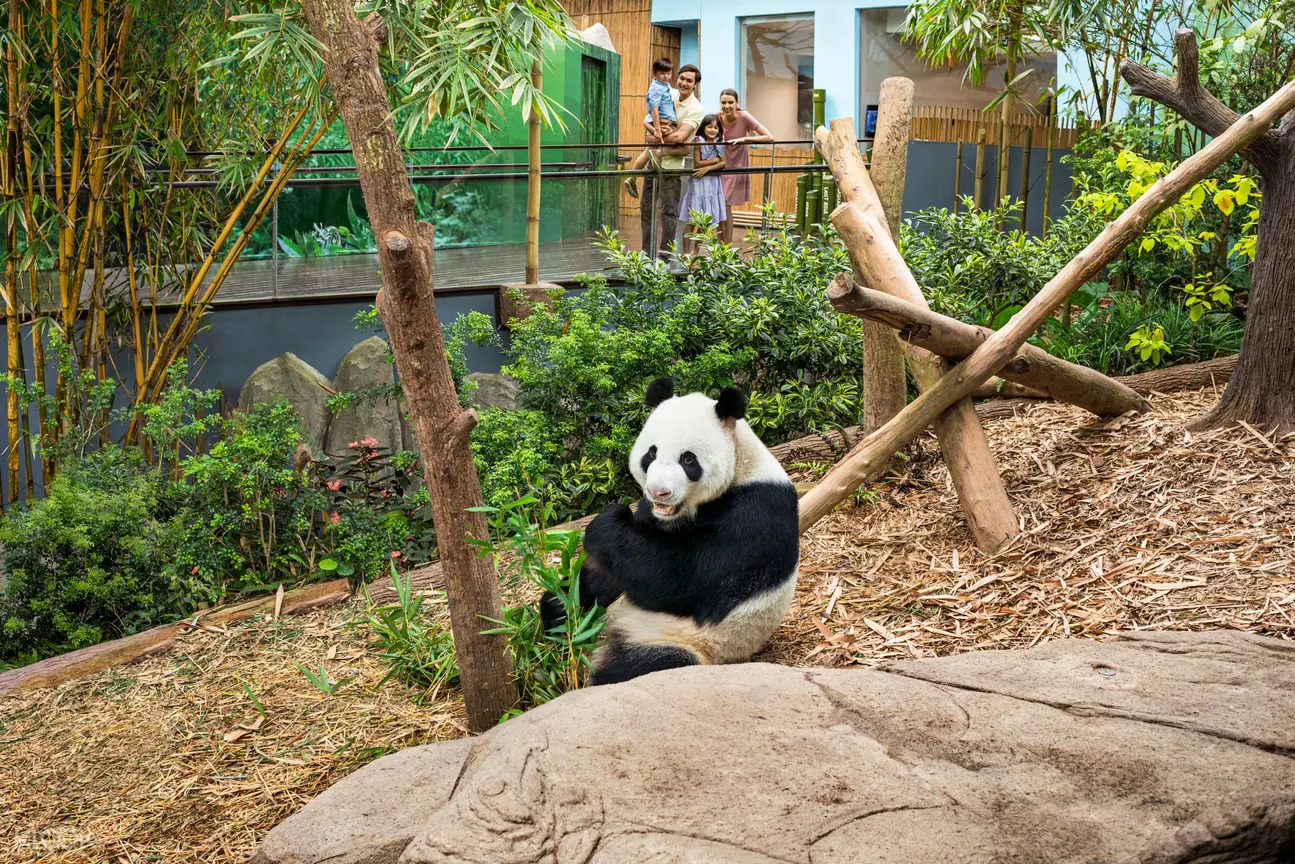 シンガポールリバーサファリ 入園チケット Klook 日本