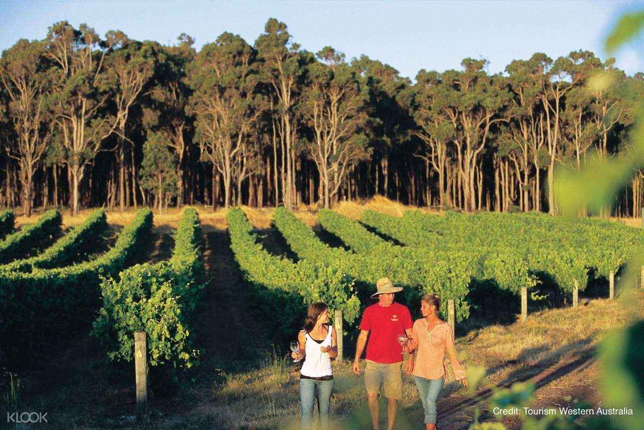wine tours from perth to margaret river