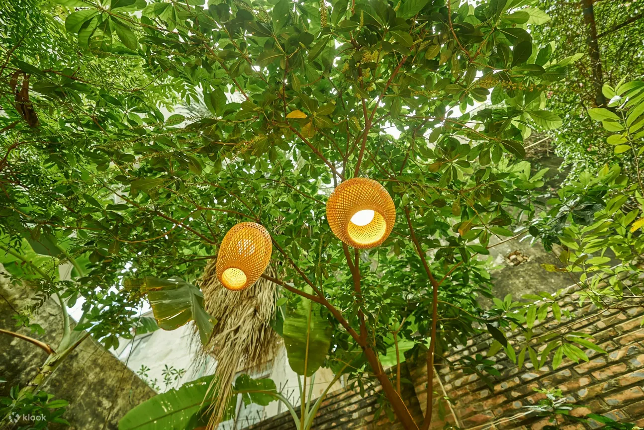 河内玫瑰厨房烹饪课及当地市场导览