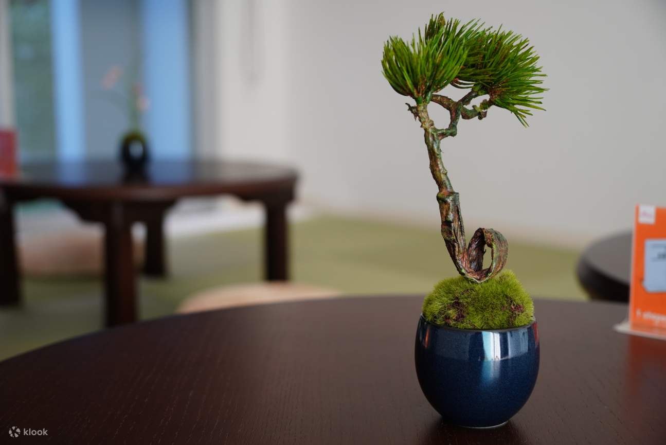 Matcha & Kimono Experience in Tokyo