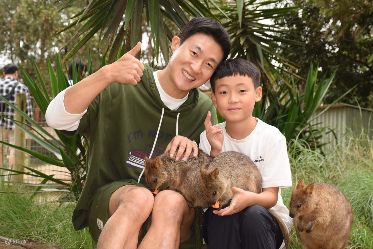 ¡Conoce al animal más feliz del mundo aquí mismo, en Sídney!
Tómate una selfie con un quokka sonriente y crea recuerdos para toda la vida.
