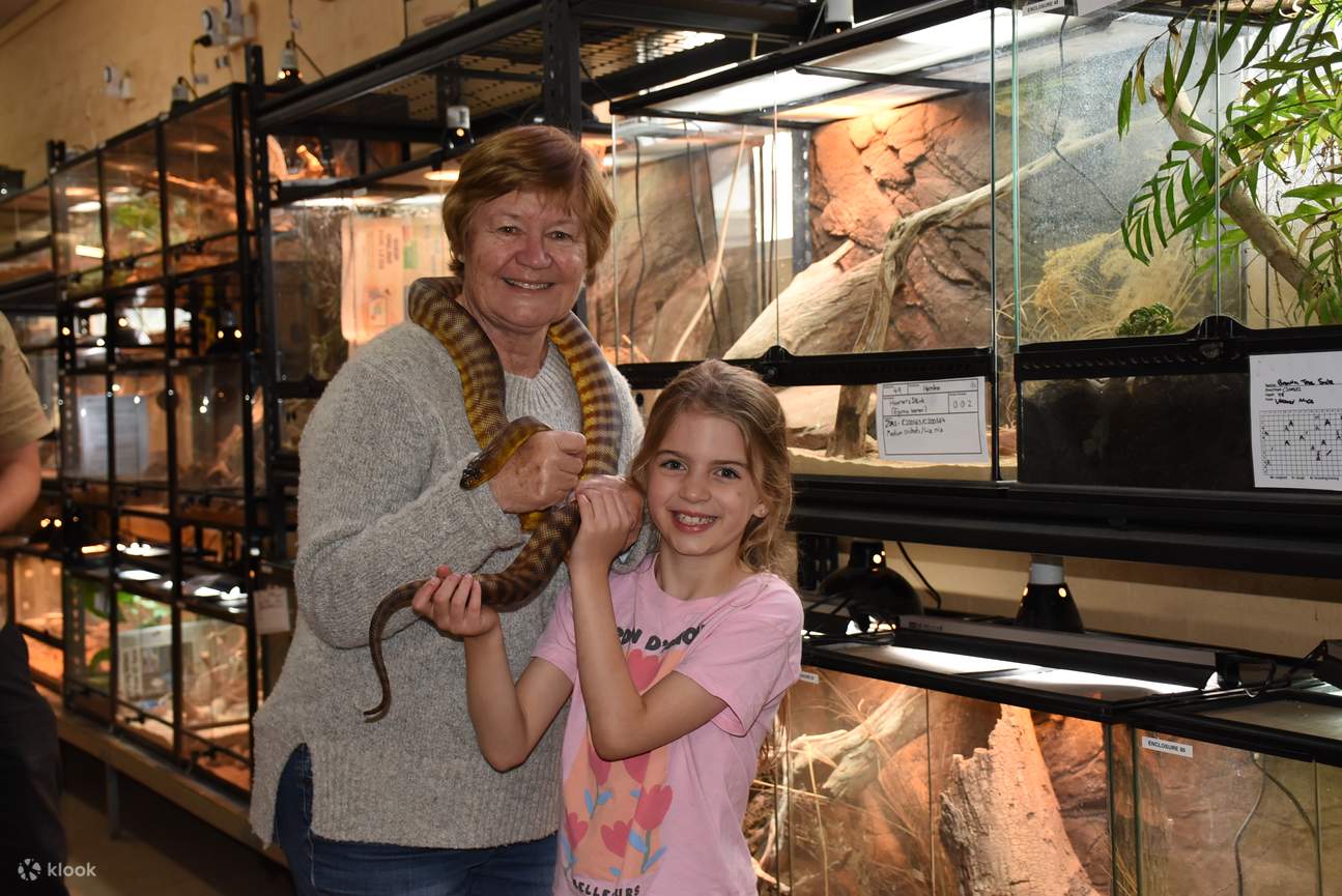 ระหว่างทำกิจกรรม คุณจะได้พบกับกิ้งก่าและงูหลากหลายชนิดอย่างใกล้ชิด พร้อมโอกาสสัมผัสอย่างเบามือ หรือแม้แต่ถือสัตว์เลื้อยคลานที่น่าทึ่งเหล่านี้ด้วยครับ/ค่ะ