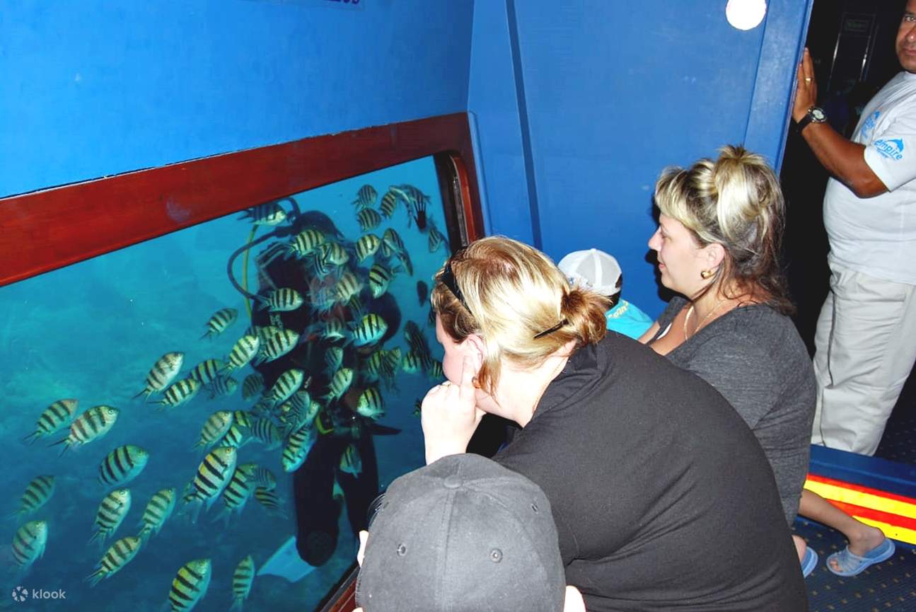 Red Sea Underwater Adventure: Semi-Submarine and Snorkeling