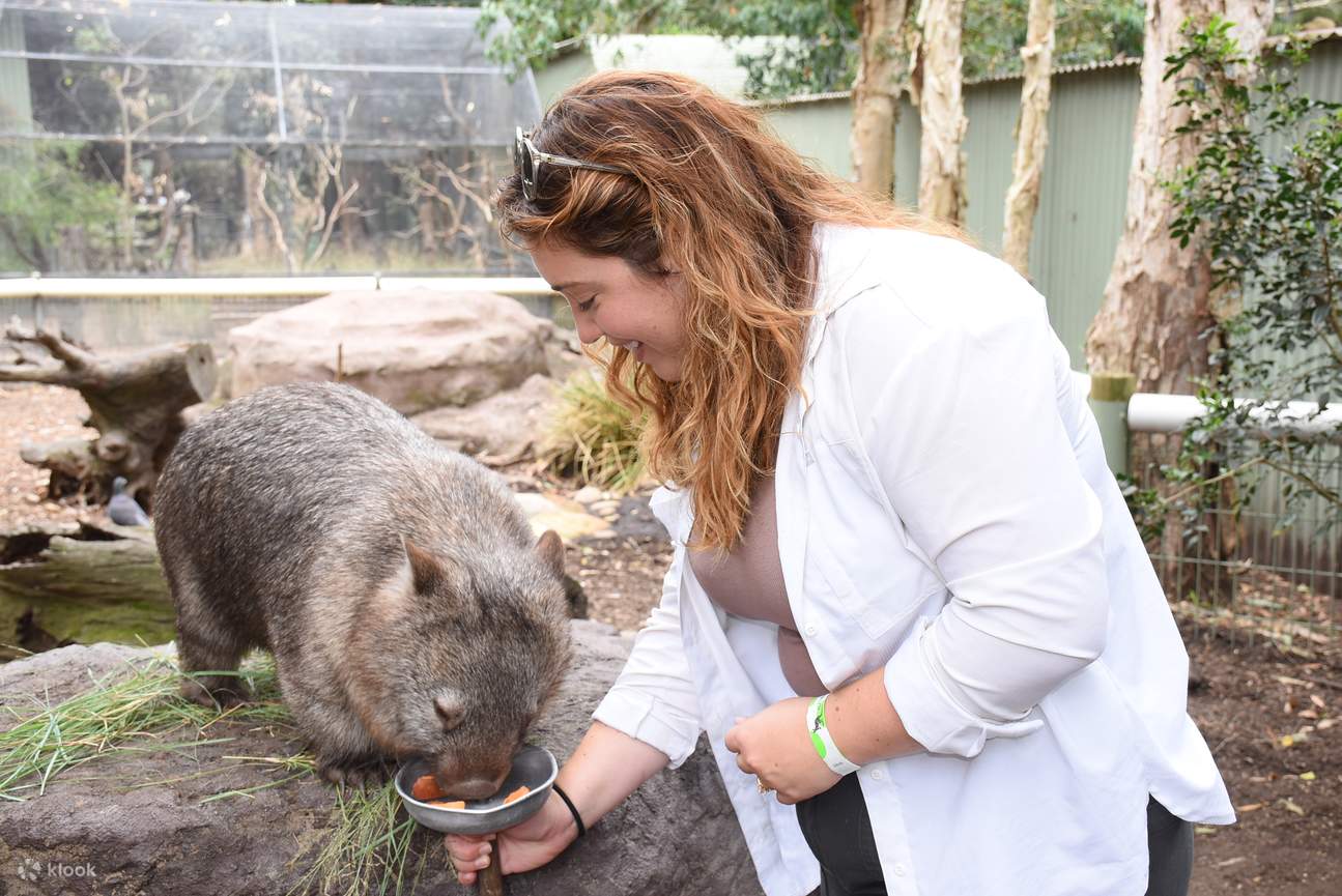 ก้าวเข้าไปในพื้นที่อยู่อาศัยอันกว้างขวางของเธอ เพื่อพบกับการเผชิญหน้าอย่างใกล้ชิด ที่คุณจะได้ชมเธอกินอาหารโปรด และพูดคุยกับผู้ดูแลของเธอ