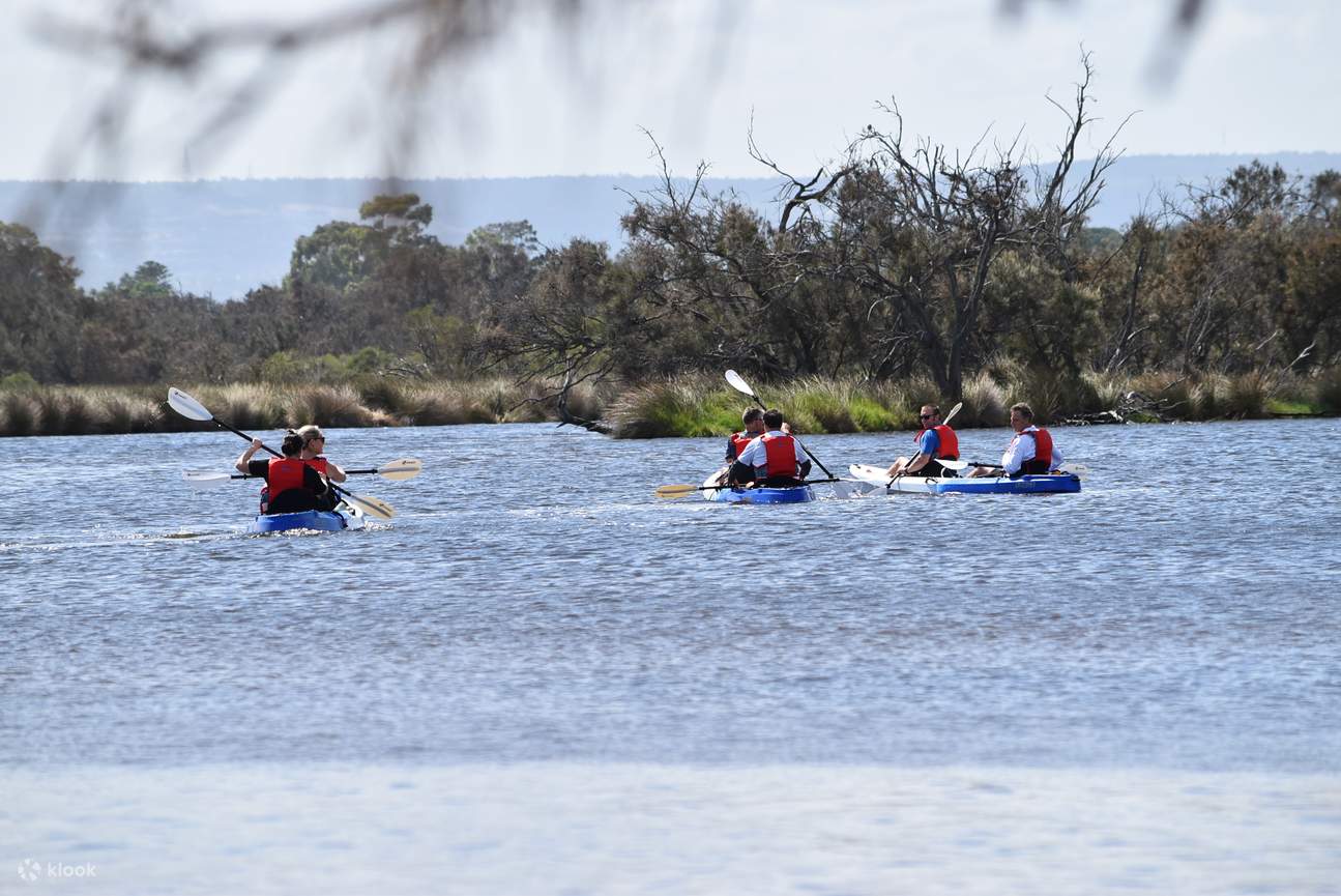 excursion en kayak