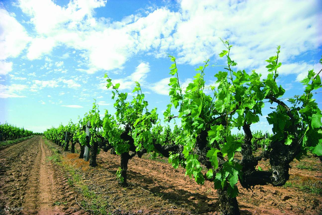 wineries margaret river