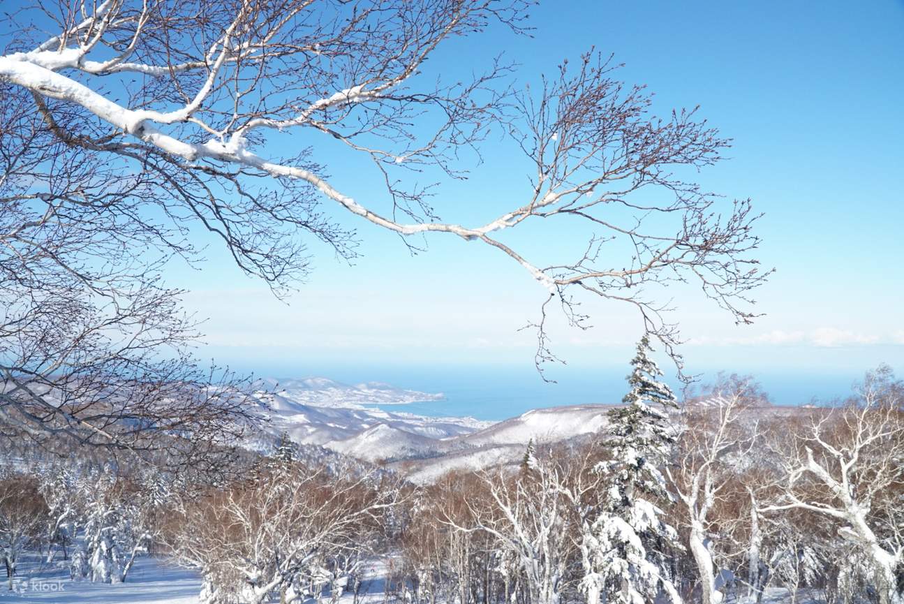 乘坐滑雪缆车，欣赏札幌令人惊叹的鸟瞰图。