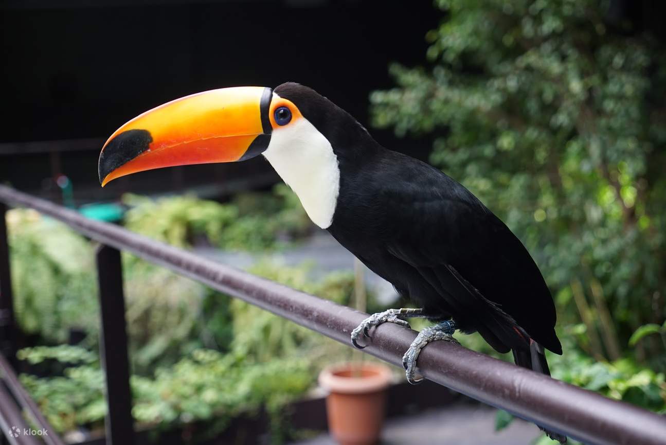 Acuario Kawasui Kawasaki