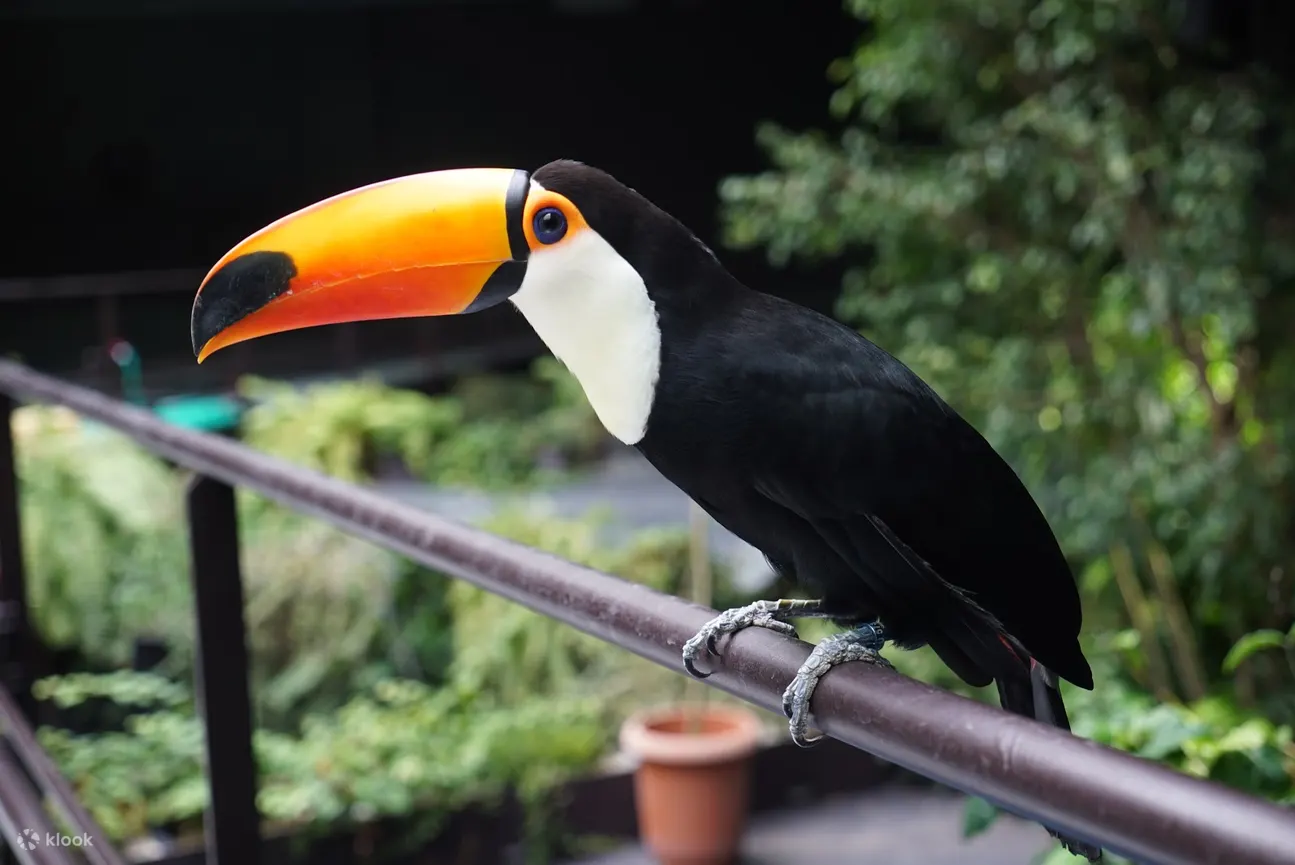 川水川崎水族馆