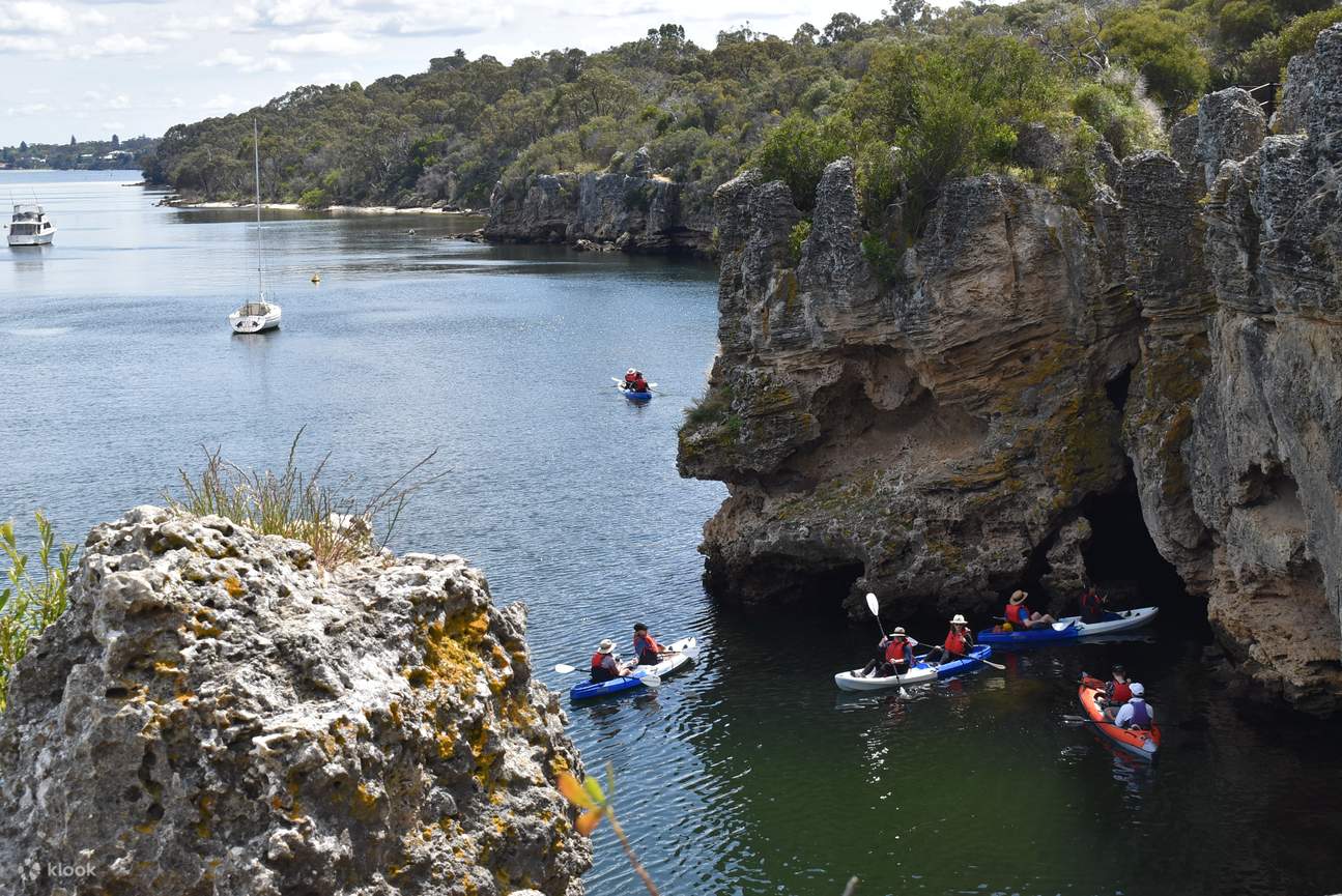 Cliffs and Caves Kayak Guided Tour in Perth Klook