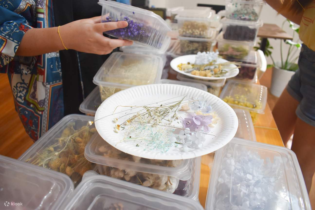 Wild Dandelions Dome Workshop in Marymount